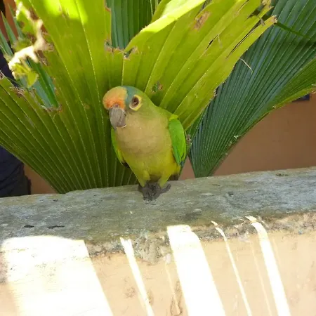 Semesterbostad Casa Grande Matera