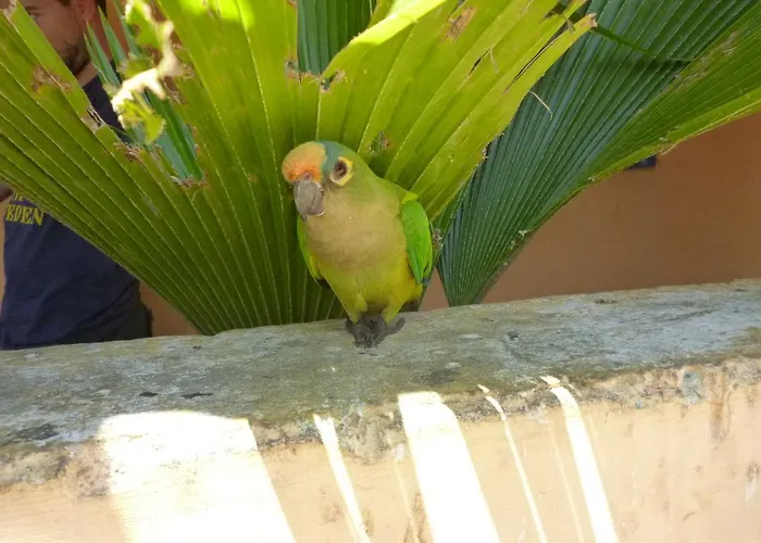 Casa vacanze Casa Grande Matera
